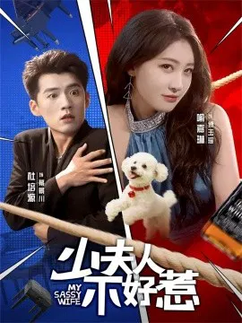 【短剧】少夫人不好惹